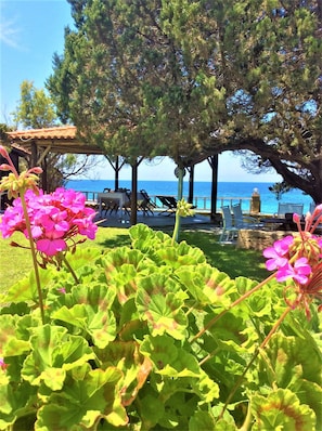 Unclassified image, 2 of 28, button - Sea & Garden View Apartment at Genari Beach (Pyrgos)