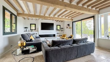 Smart TV, fireplace, video games, books