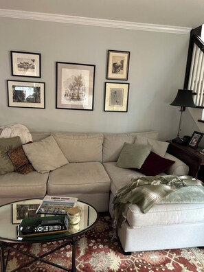 Smart TV, fireplace, books, music library