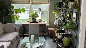 Smart TV, fireplace, books, music library