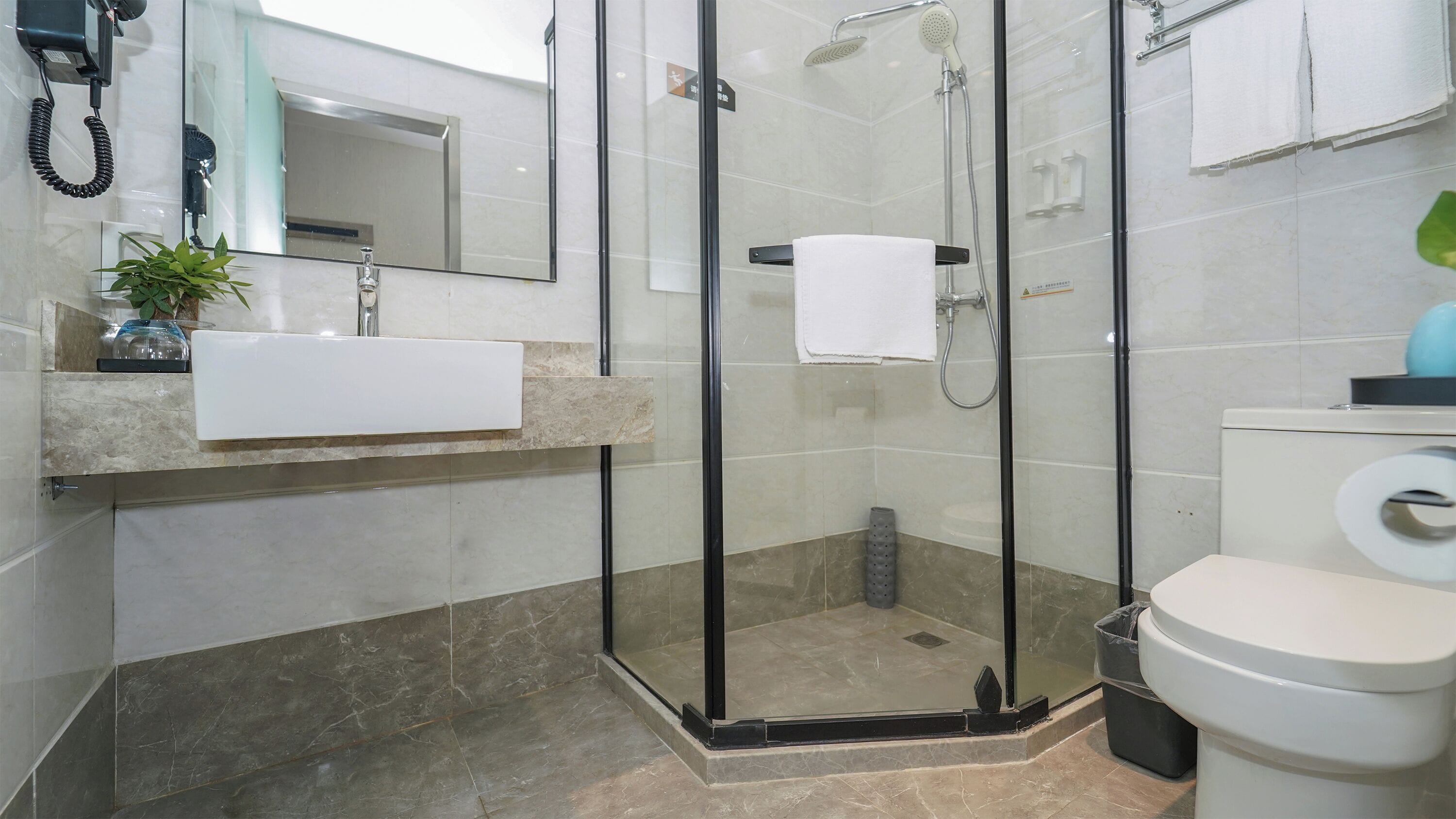 A modern bathroom with a glass-enclosed shower, a sink with a mirror, and a toilet.