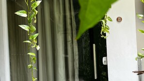 A view of a building entrance with a green curtain, a doorbell, and a potted plant with green leaves. -  Pousada Ventos do Norte - Morro de São Paulo (Morro de São Paulo)