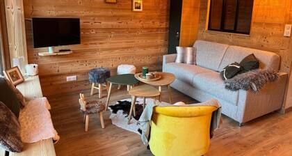 Appartement rénové 4/6 personnes aux 2 Alpes à 100m des pistes