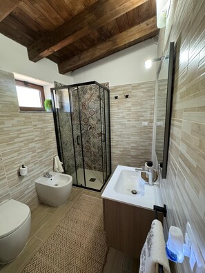 Shower, hair dryer, bidet, towels