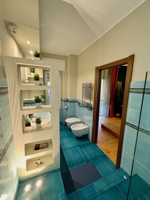 Shower, hair dryer, bidet, towels