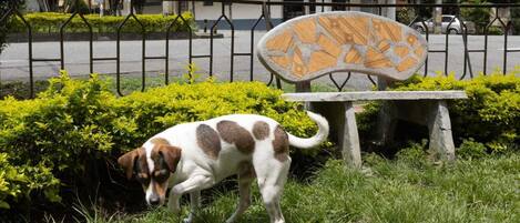 Área da propriedade