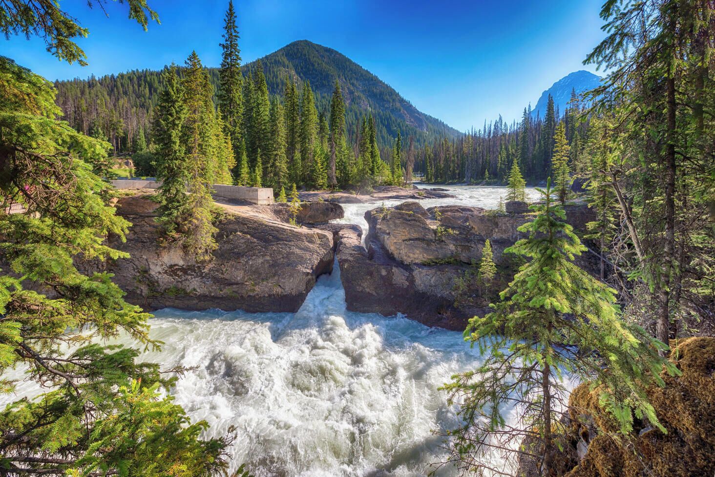 A river flowing through a forest with rocky terrain and a mountain in the background.