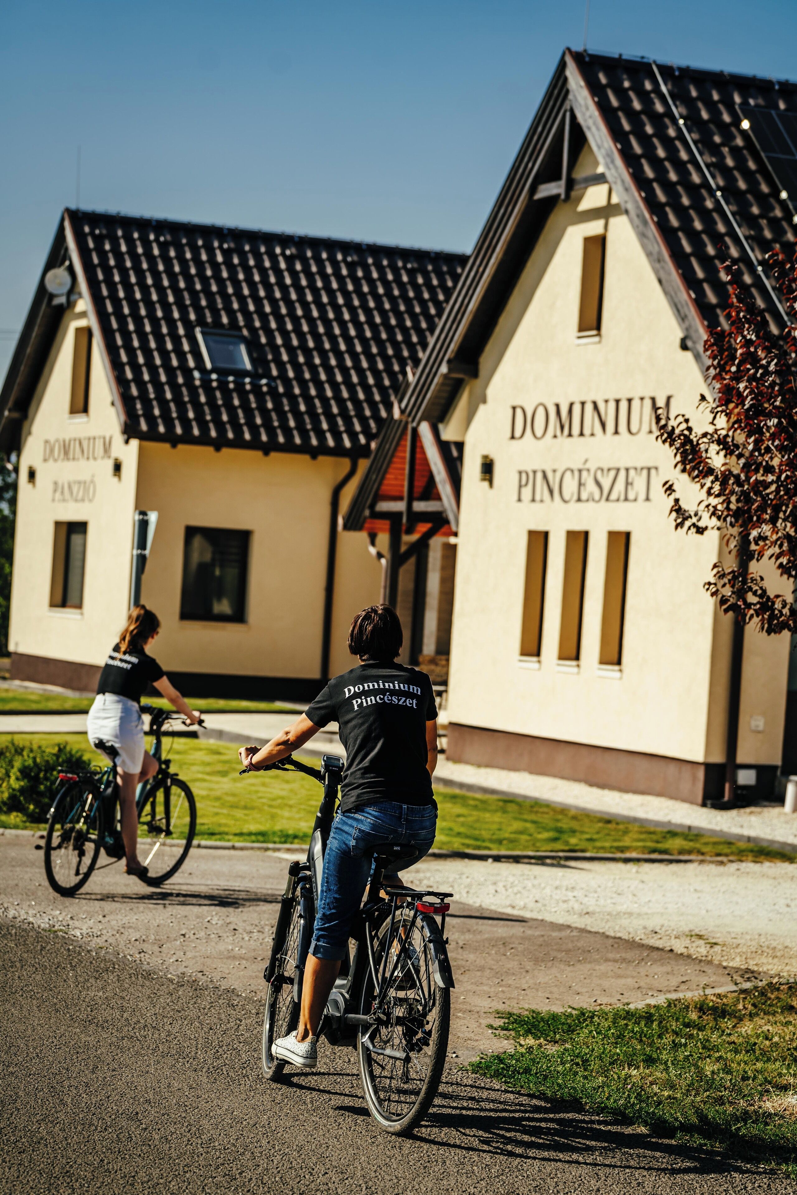 Two buildings with signs reading "DOMINIUM PANCZÓ" and "DOMINIUM PINCÉSZET".