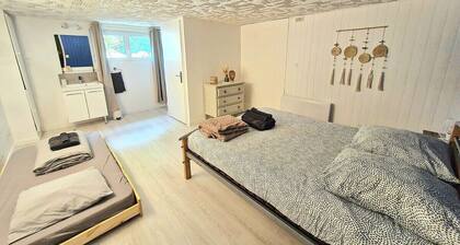 Maison Le Baron 13pers Tiffauges proche Puy du Fou