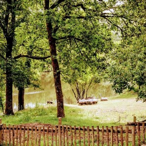 Jardines del alojamiento