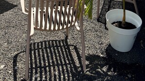 Una zona patio all'aperto con tavolo e sedie, un recinto in legno e una pianta in vaso.