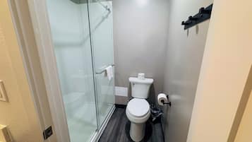 A small, modern bathroom with a glass shower enclosure, a white toilet, and a dark wood floor.