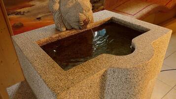 Une fontaine en pierre ornée d’une tête de lion, entourée d’un sol carrelé.