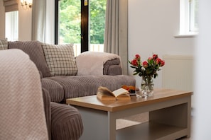 Smart TV, fireplace, books