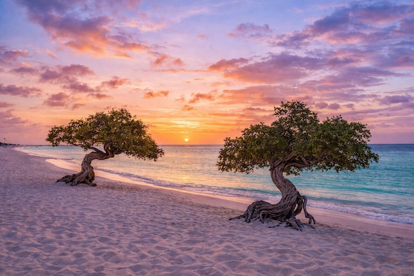 Sun loungers, beach towels