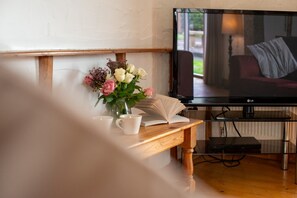 Smart TV 