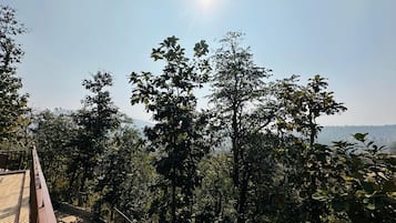 Une terrasse en bois avec une rambarde en métal donnant sur une forêt dense.