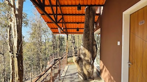 Un pasillo cubierto con barandilla de madera, un grueso tronco de árbol en el centro y una puerta con placa de número.