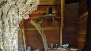 A rustic wooden room with a tree shelf holding cups, a plate, and salt shakers. - Cabane Maya - 2 pers - Ile aux Cabanes (Sainte-Colombe)