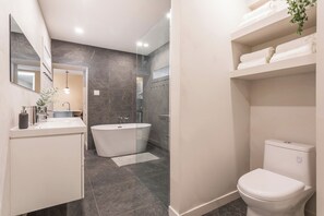 Hair dryer, towels, soap, toilet paper