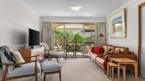 电视、DVD 播放器、乒乓球、书