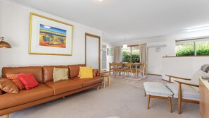 电视、DVD 播放器、乒乓球、书