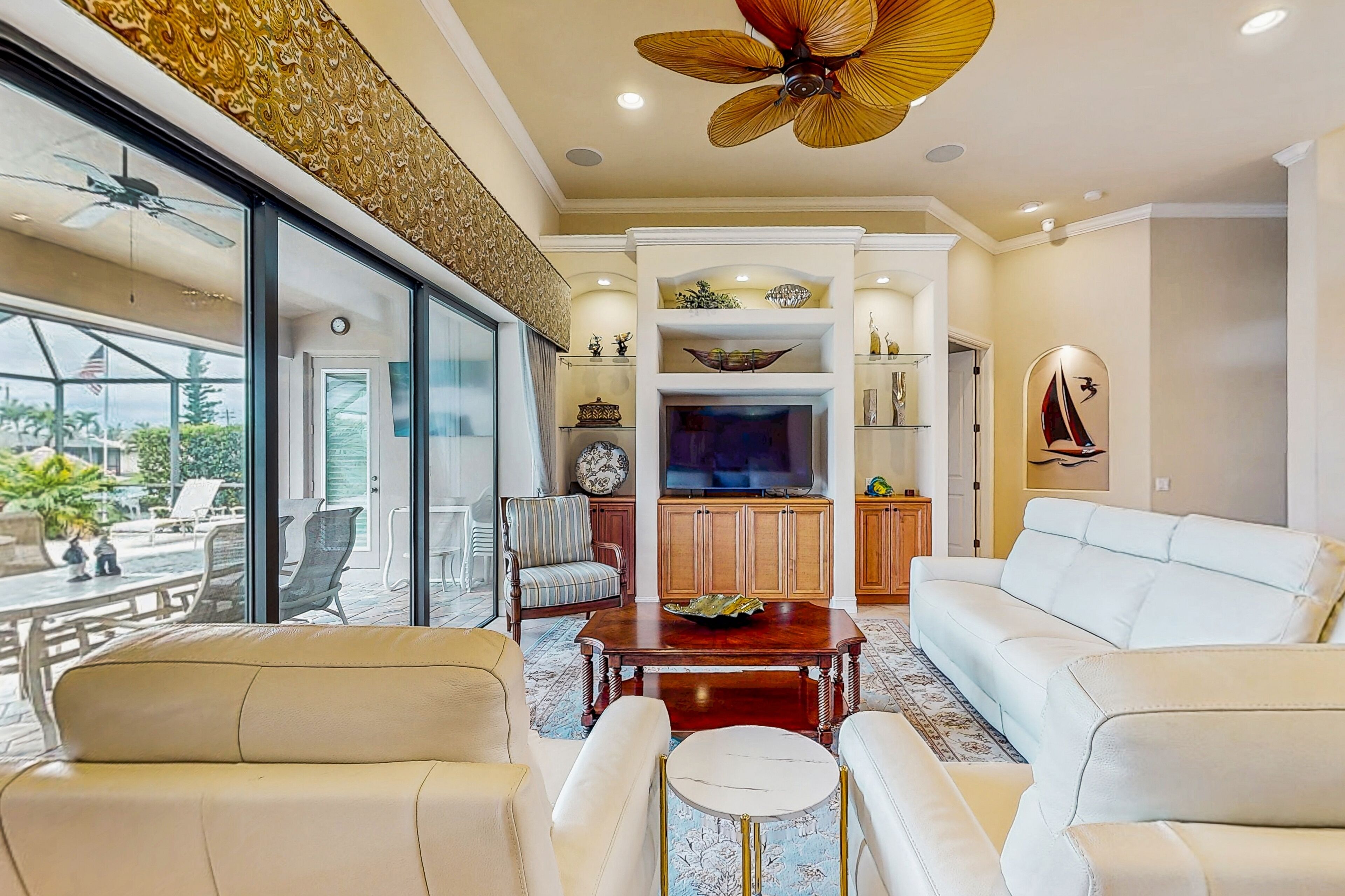 电视、DVD 播放器