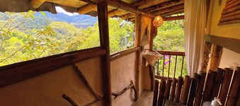 Luxury Bamboo Ecolodge