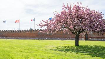 A tree with pink blossoms in front of a brick wall with flags.