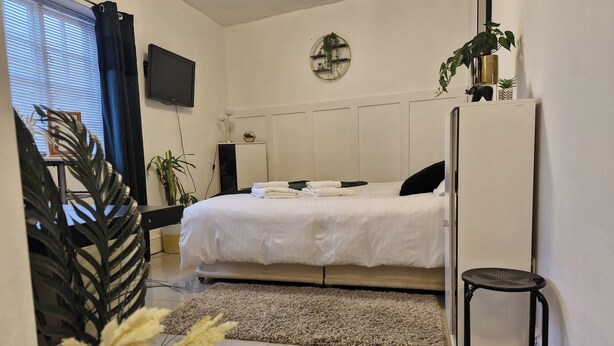 Ein modernes Schlafzimmer mit Bett, einem kleinen Hocker, einem Fernseher und einer Topfpflanze.