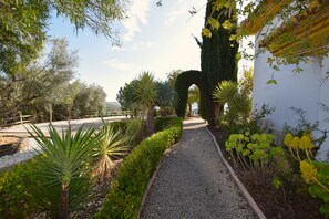 Property grounds - Andalusian family retreat with pool, padel court & near El Torcal de Antequera (Antequera)