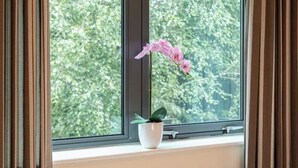 Una ventana con una orquídea en maceta en el alféizar.