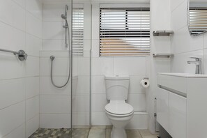 Regadera, secadora de cabello, toallas, jabón 