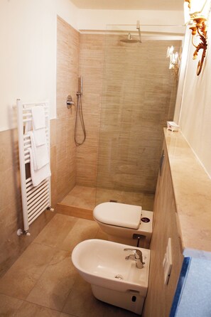 Shower, hair dryer, bidet, towels