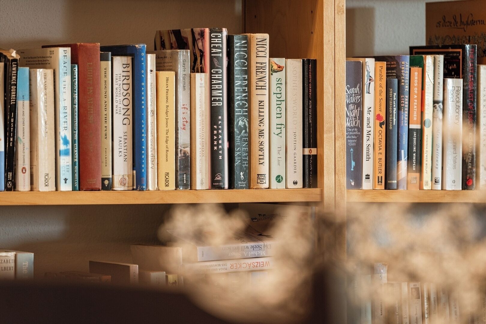 A bookshelf with a variety of books, including titles like 'Birdsong' and 'The Sound and the Fury'.