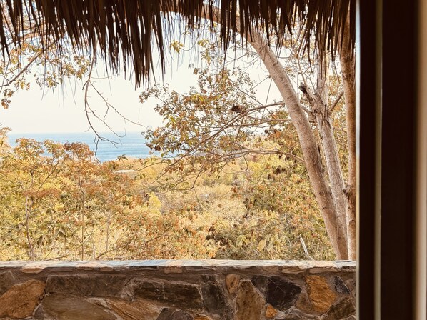Caista Tlacuache | View from room