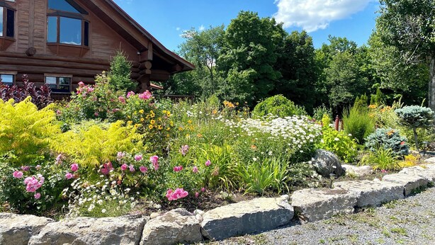 A wooden cabin with large windows and a garden with various flowers and plants.