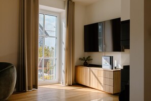 Televisión, chimenea y videoteca