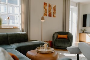 TV, fireplace, video library