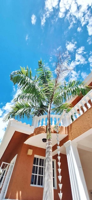 Teres/patio