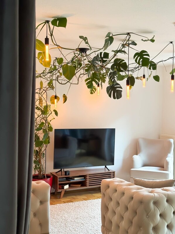 Televisio, kirjoja, työhuone