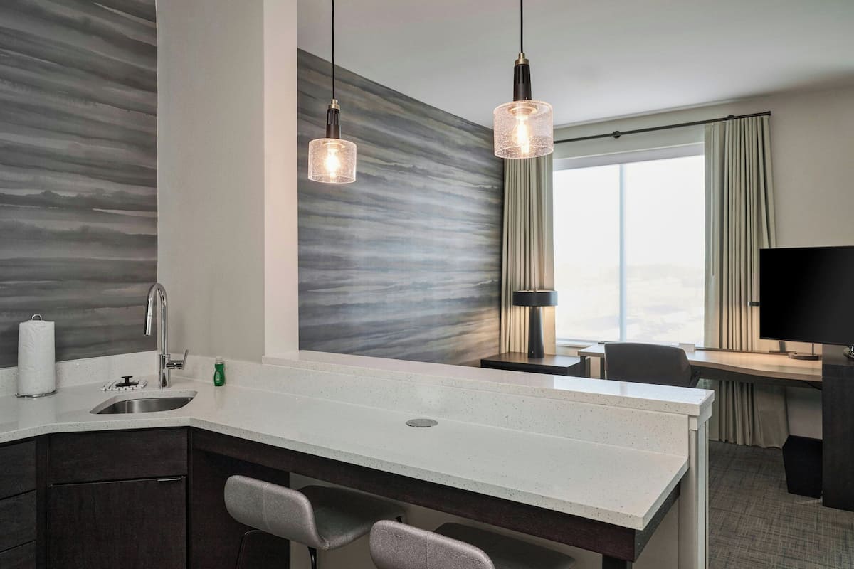 开间, 1 张特大床和 1 张沙发床 | 酒吧(店内)