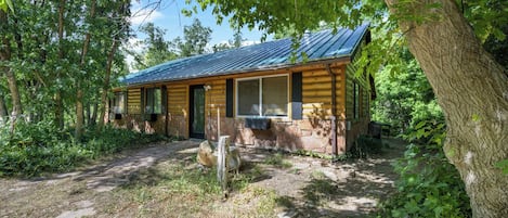 1 habitación, tabla de planchar con plancha y cuna de viaje