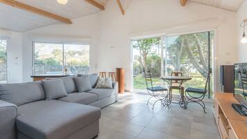 电视、DVD 播放器