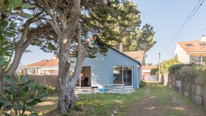 A house with a blue exterior, a visible garage door, and a lawn with yellow flowers.