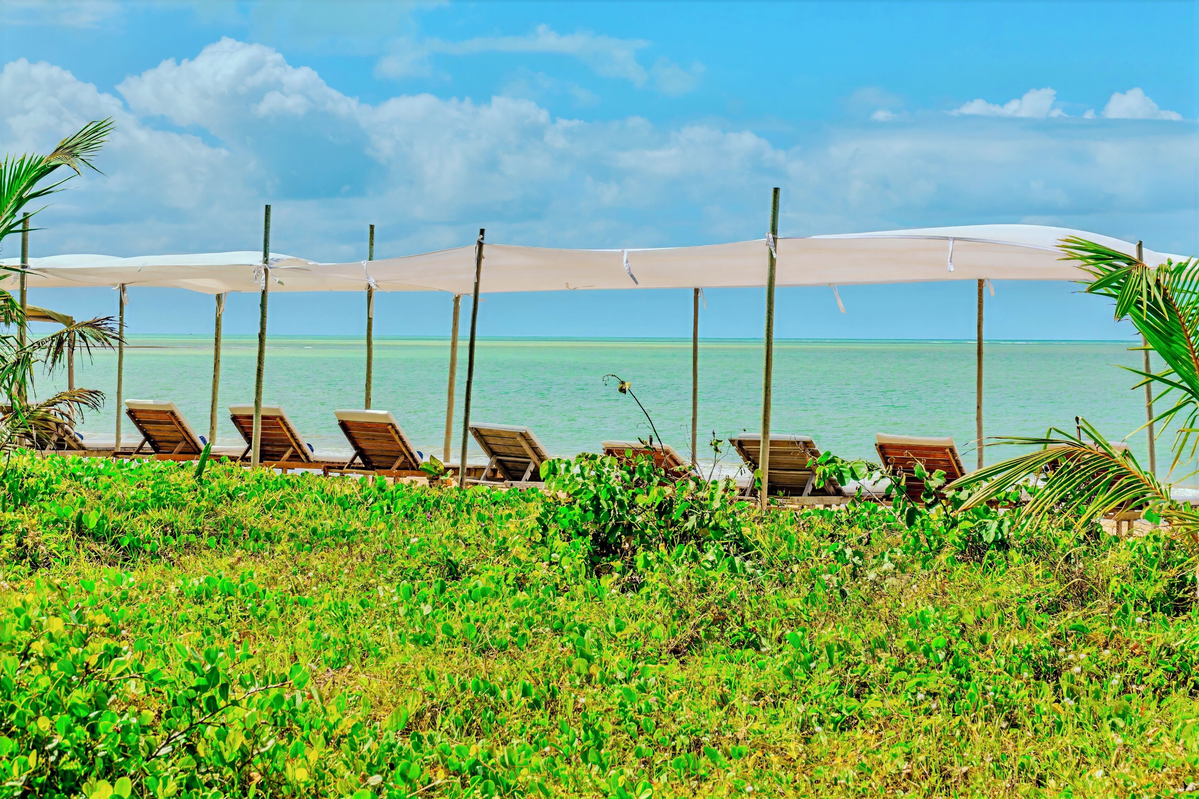 På stranden, vit sandstrand, solstolar och parasoller