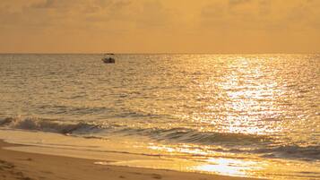 Plage, sable blanc, chaises longues, parasols