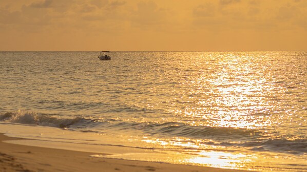 在海滩、白沙、沙滩椅、海滩遮阳伞