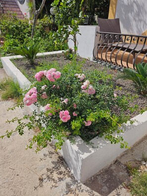 Área da propriedade