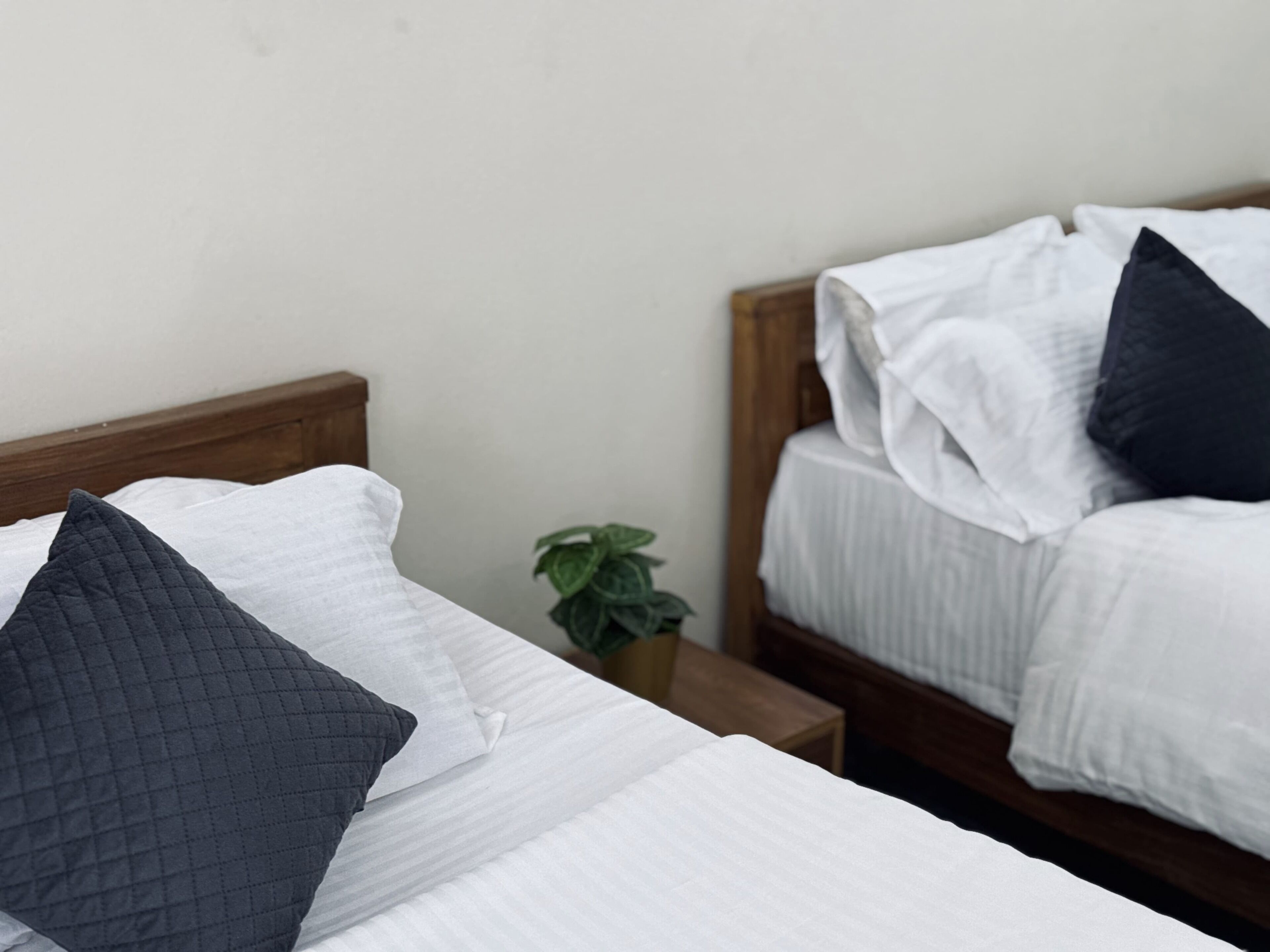 Family Double or Twin Room, Mountain View